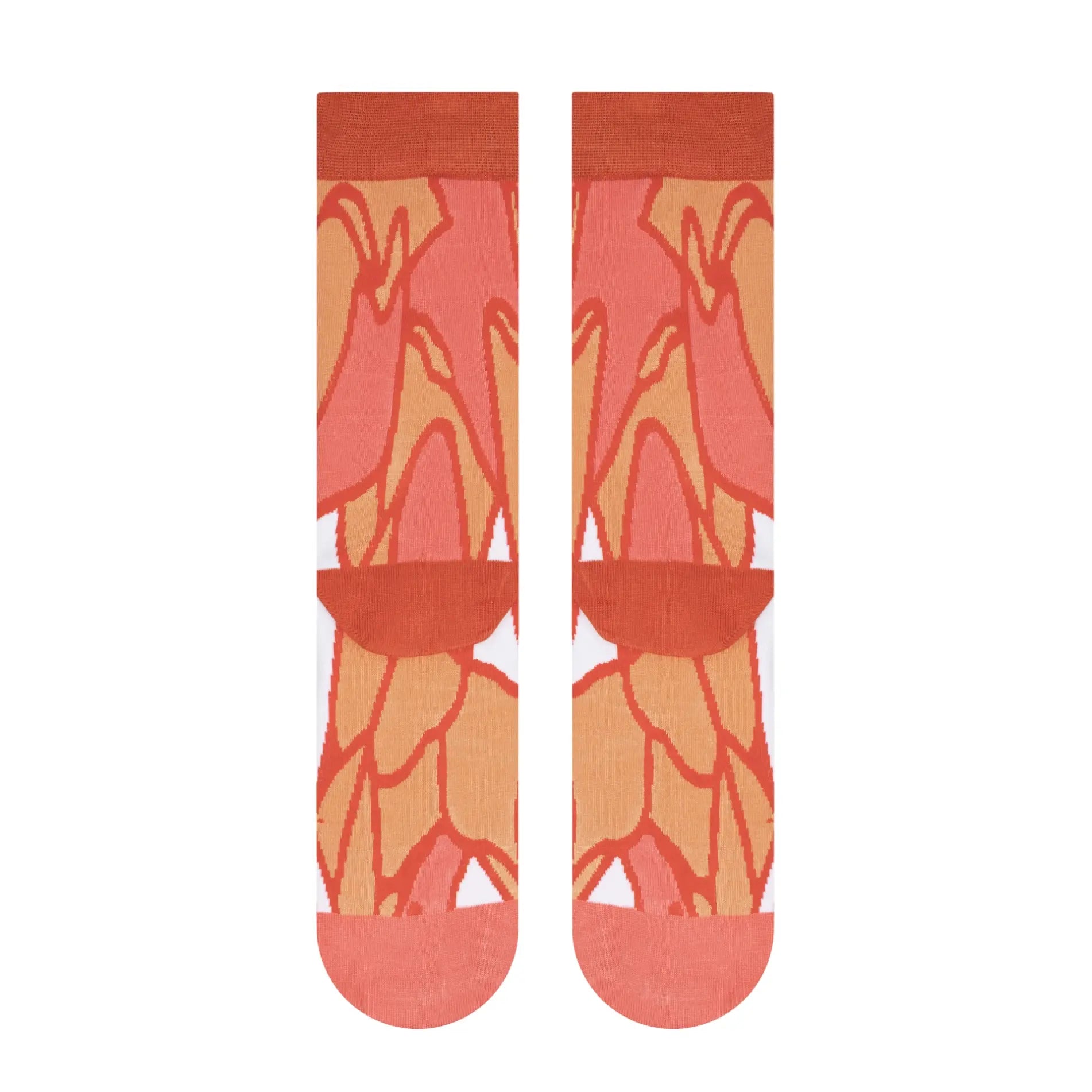 Desert Collection Socks - WWF®