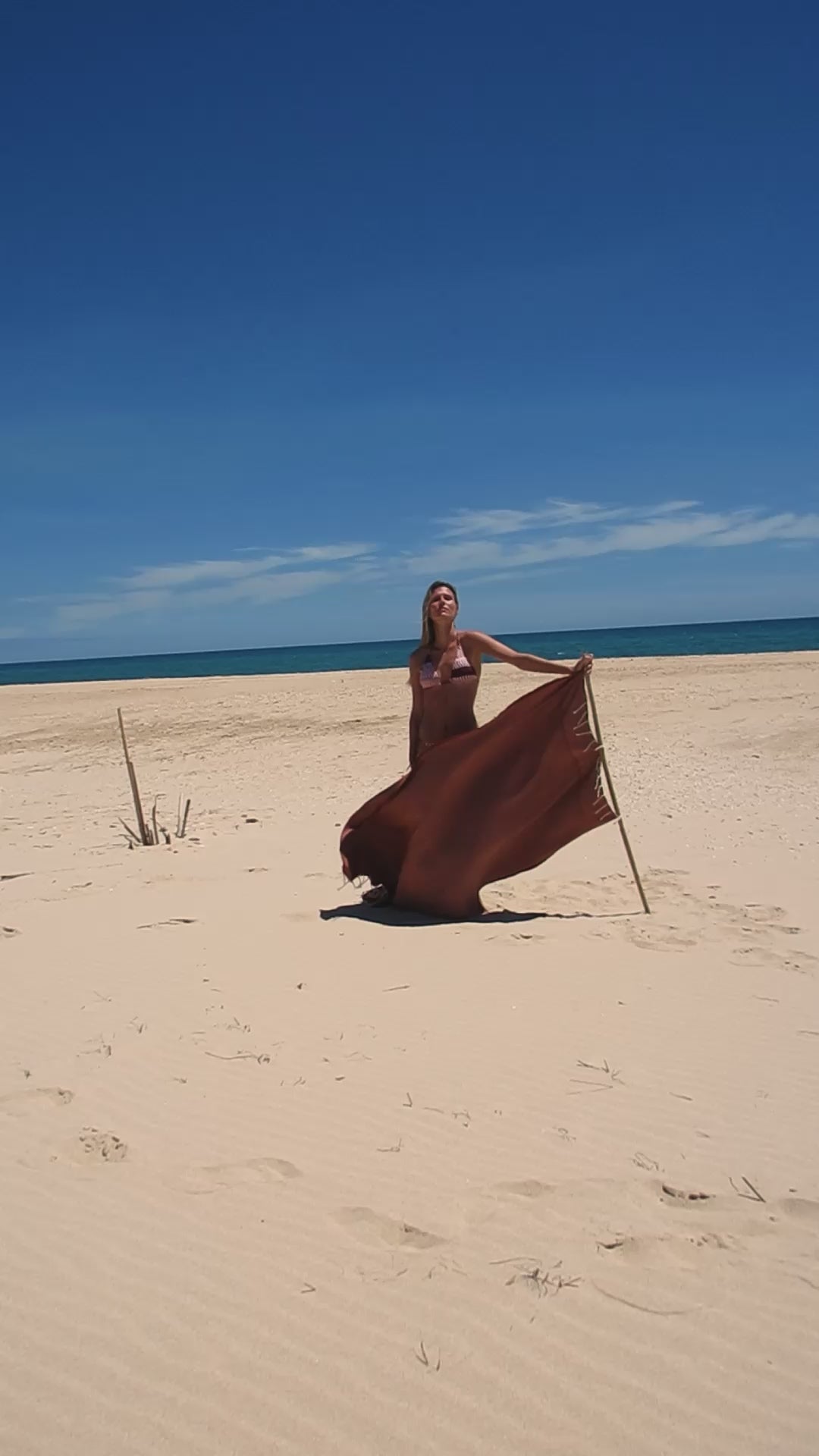 Guincho Brown Bikini Triangle
